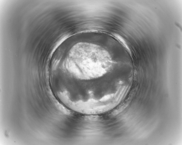 X0000093250859200710241313