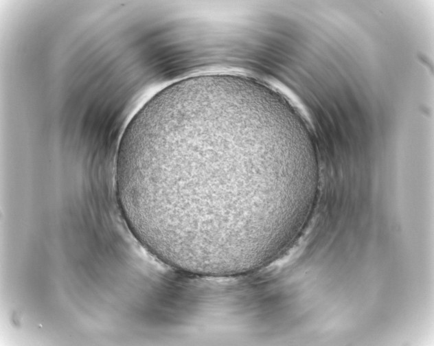 X0000093250860200710241313