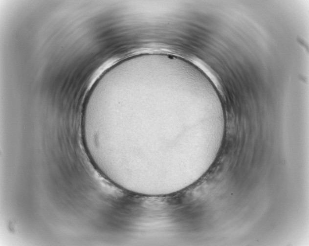 X0000093250861200710241313