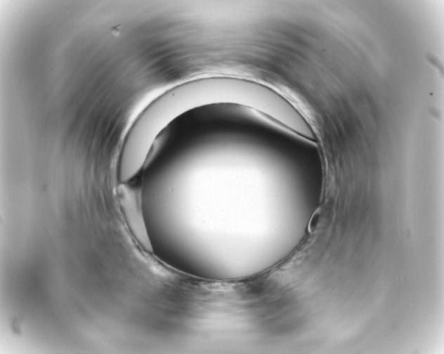 X0000093250862200710241313