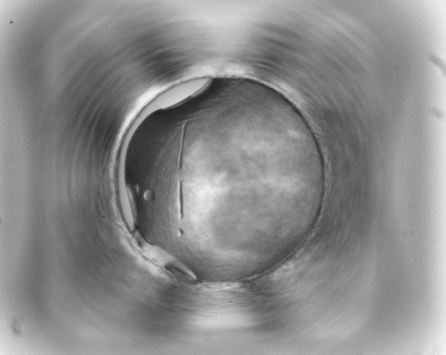 X0000093250864200710241313