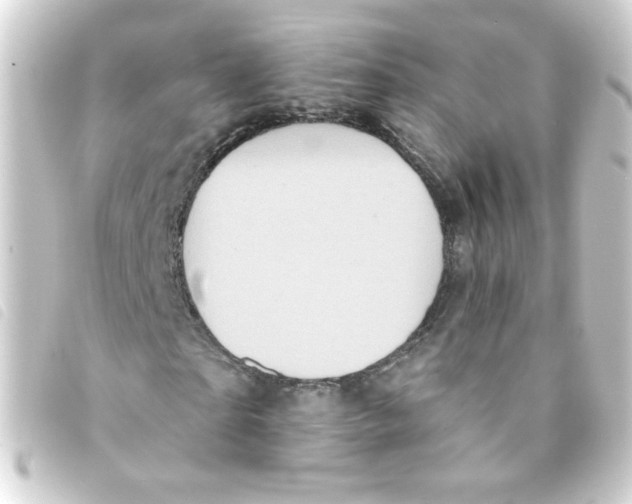 X0000093250865200710241312