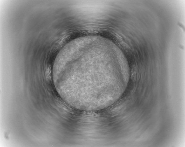 X0000093250866200710241312