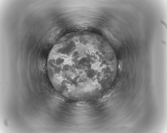 X0000093250867200710241312