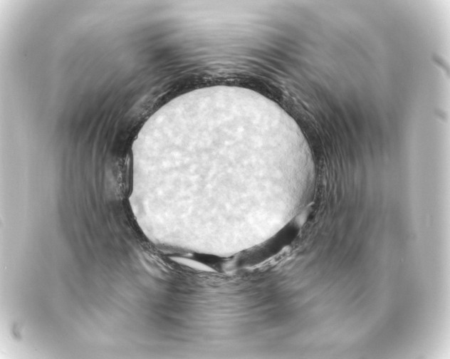 X0000093250868200710241312