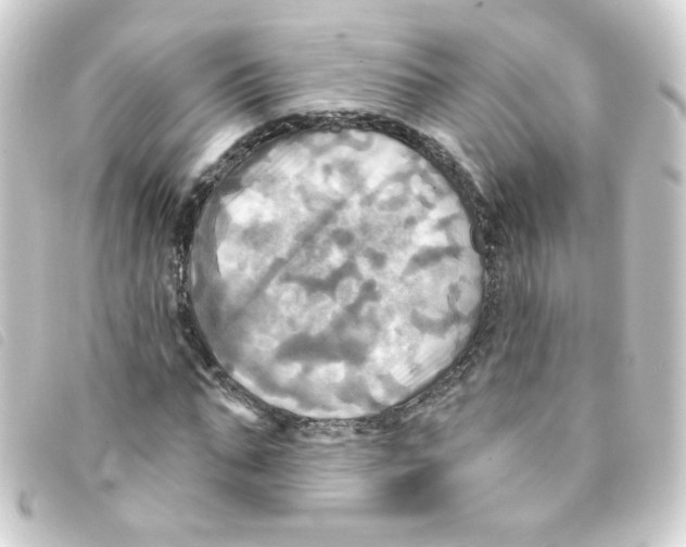 X0000093250871200710241312