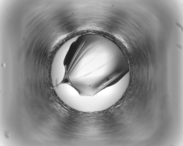 X0000093250872200710241312