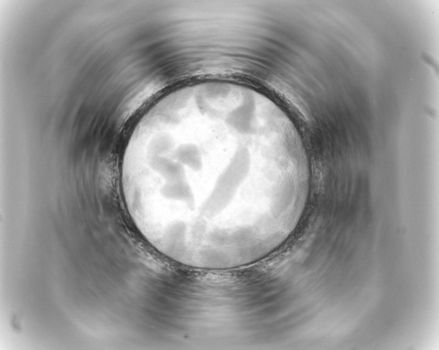 X0000093250874200710241312