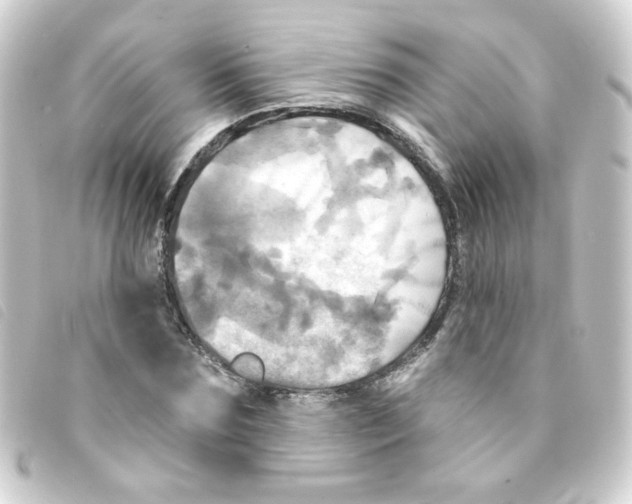 X0000093250875200710241312