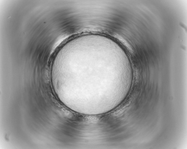 X0000093250878200710241312