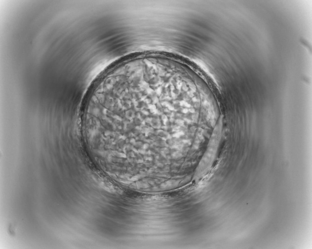 X0000093250879200710241312