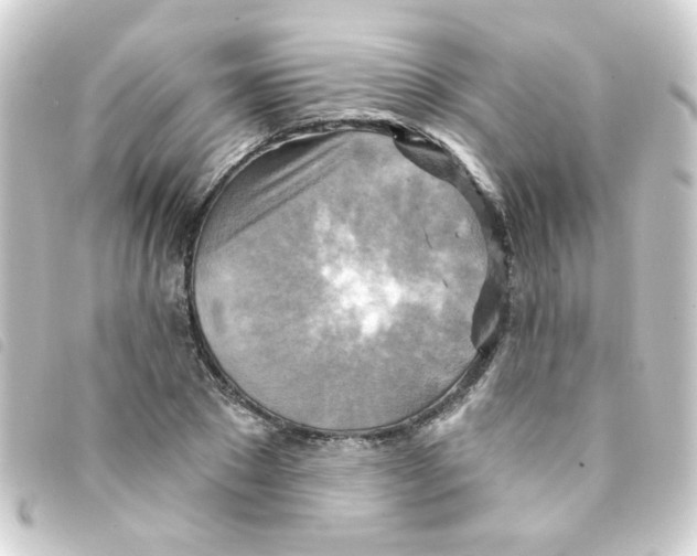 X0000093250881200710241312