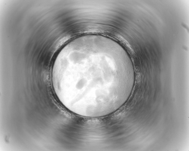 X0000093250882200710241312