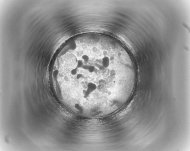 X0000093250883200710241312