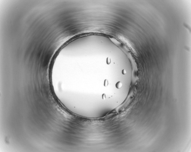 X0000093250884200710241312