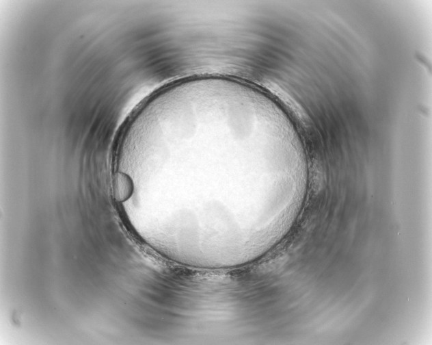 X0000093250886200710241312