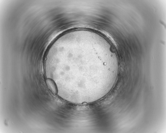 X0000093250887200710241312