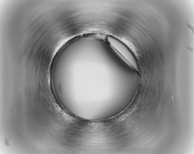 X0000093250888200710241312