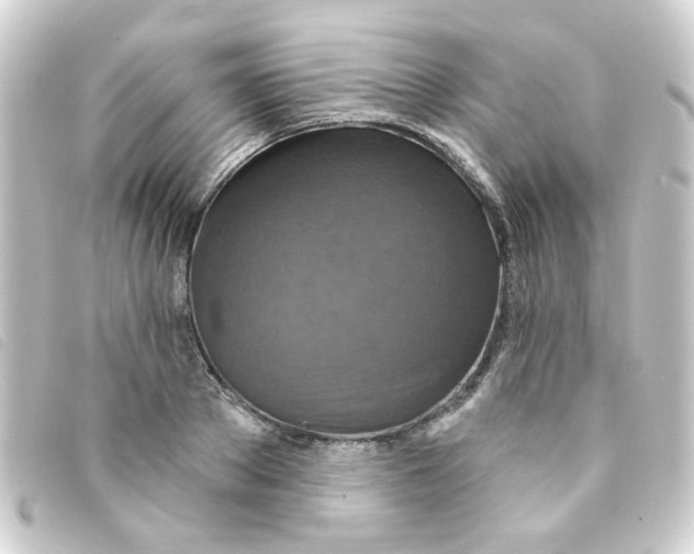 X0000093250889200710241312