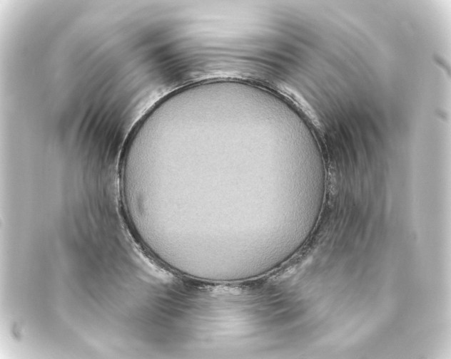 X0000093250890200710241312