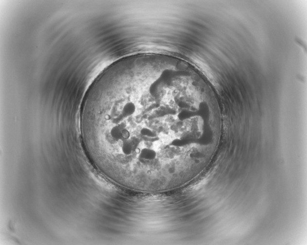 X0000093250891200710241312