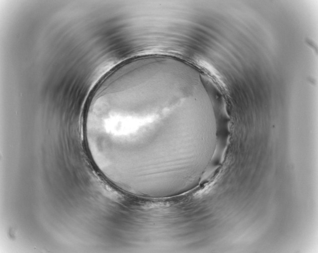 X0000093250892200710241312