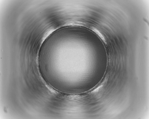 X0000093250893200710241312