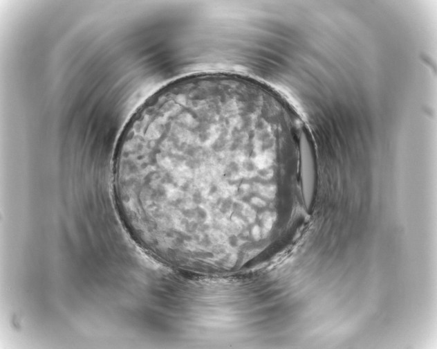 X0000093250895200710241312