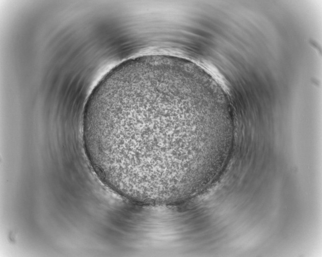 X0000093250896200710241312