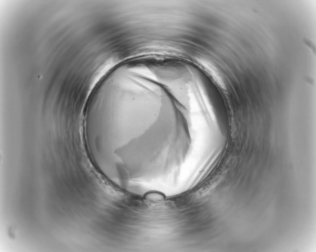 X0000093250899200710241312