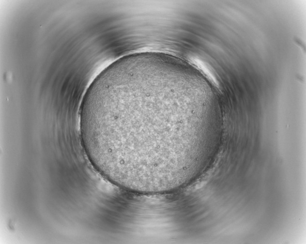 X0000093250900200710241312