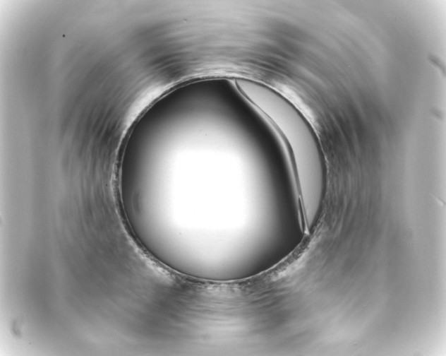 X0000093250901200710241312