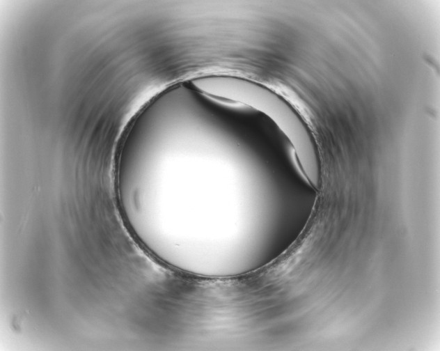 X0000093250902200710241312