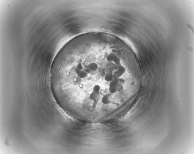 X0000093250903200710241312