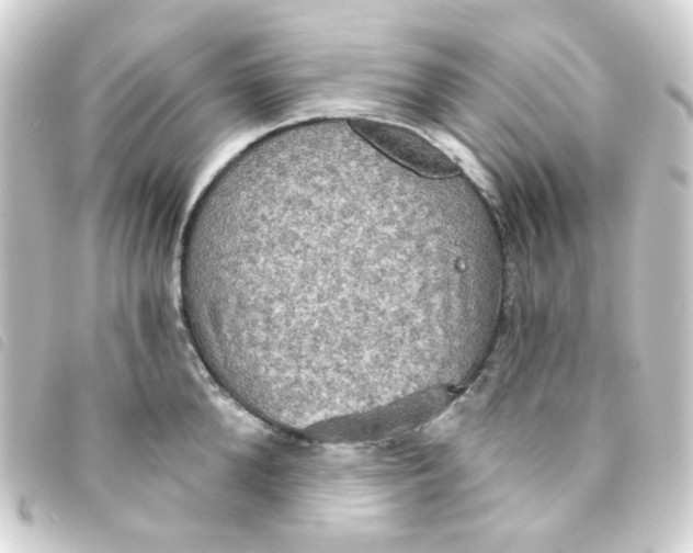 X0000093250904200710241312