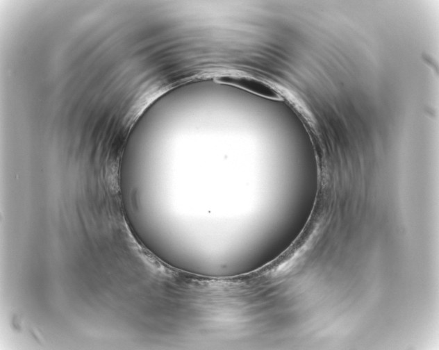 X0000093250905200710241312