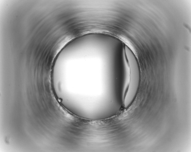 X0000093250906200710241312