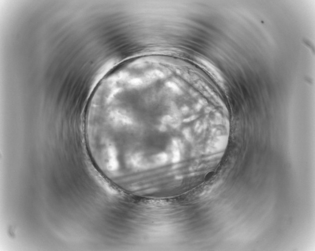 X0000093250907200710241312