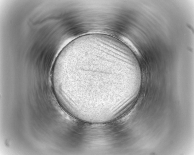 X0000093250908200710241312