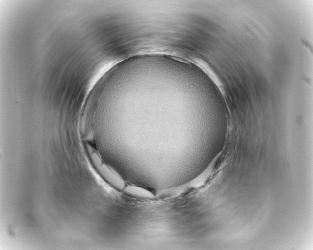 X0000093250909200710241312