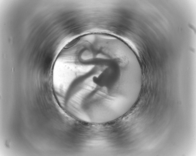 X0000093250911200710241312