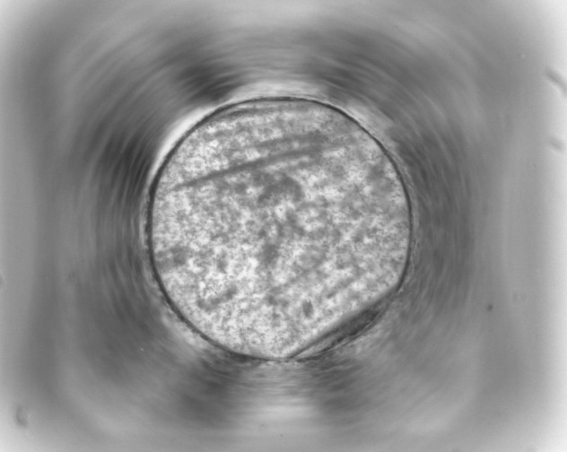 X0000093250912200710241312