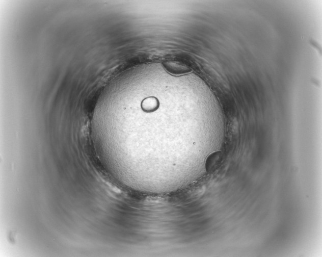 X0000093250914200710241311