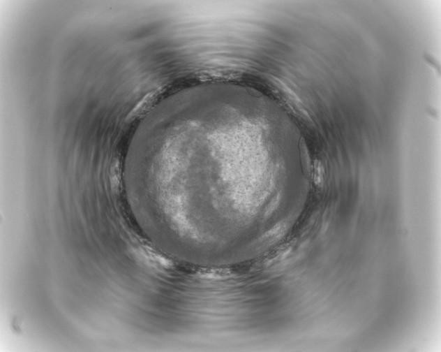 X0000093250915200710241311