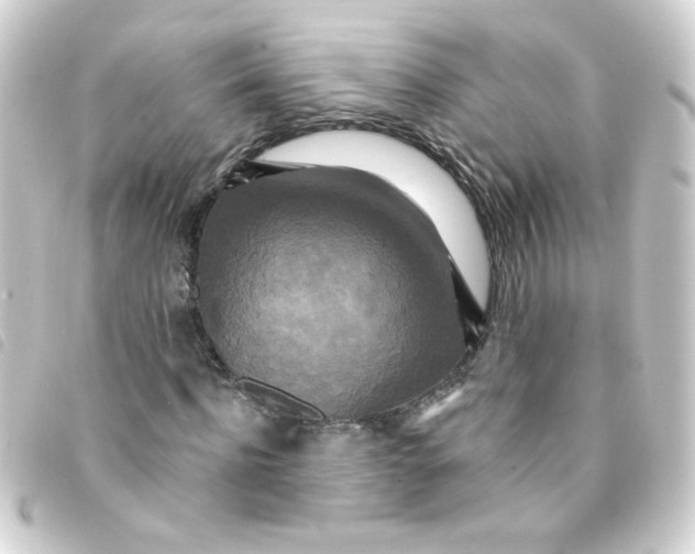 X0000093250916200710241311