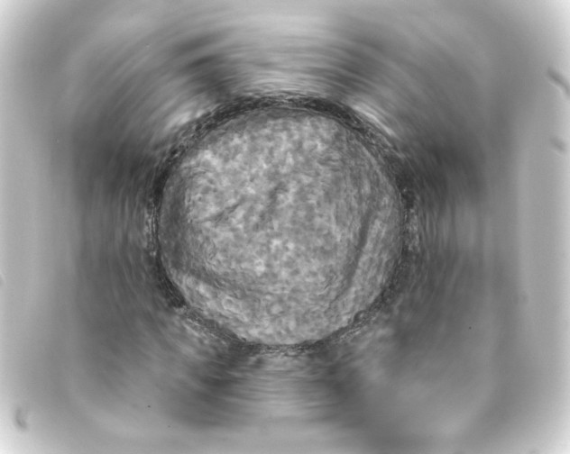 X0000093250917200710241311