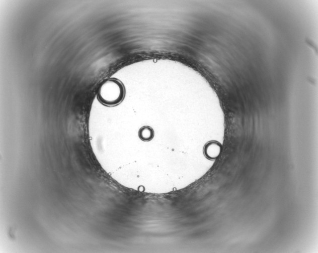 X0000093250918200710241311