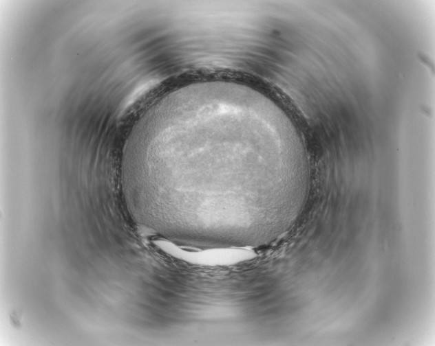 X0000093250919200710241311