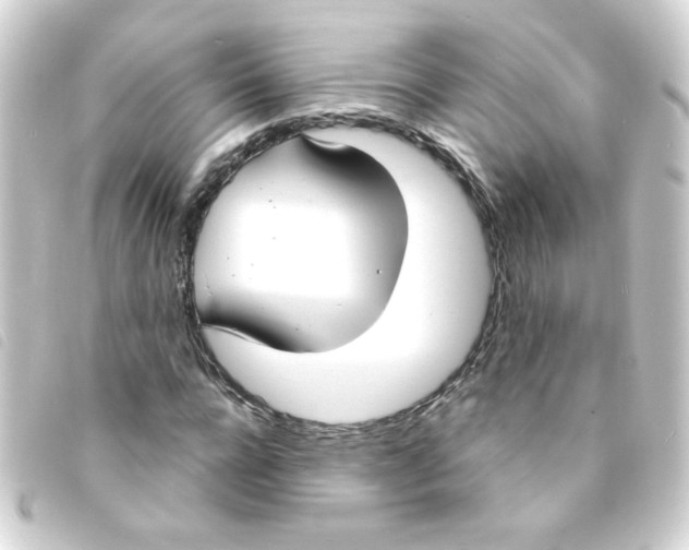 X0000093250920200710241311