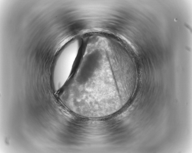 X0000093250921200710241311